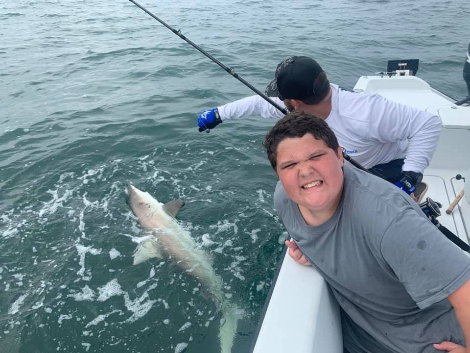 Shark Trip In Holmes Beach