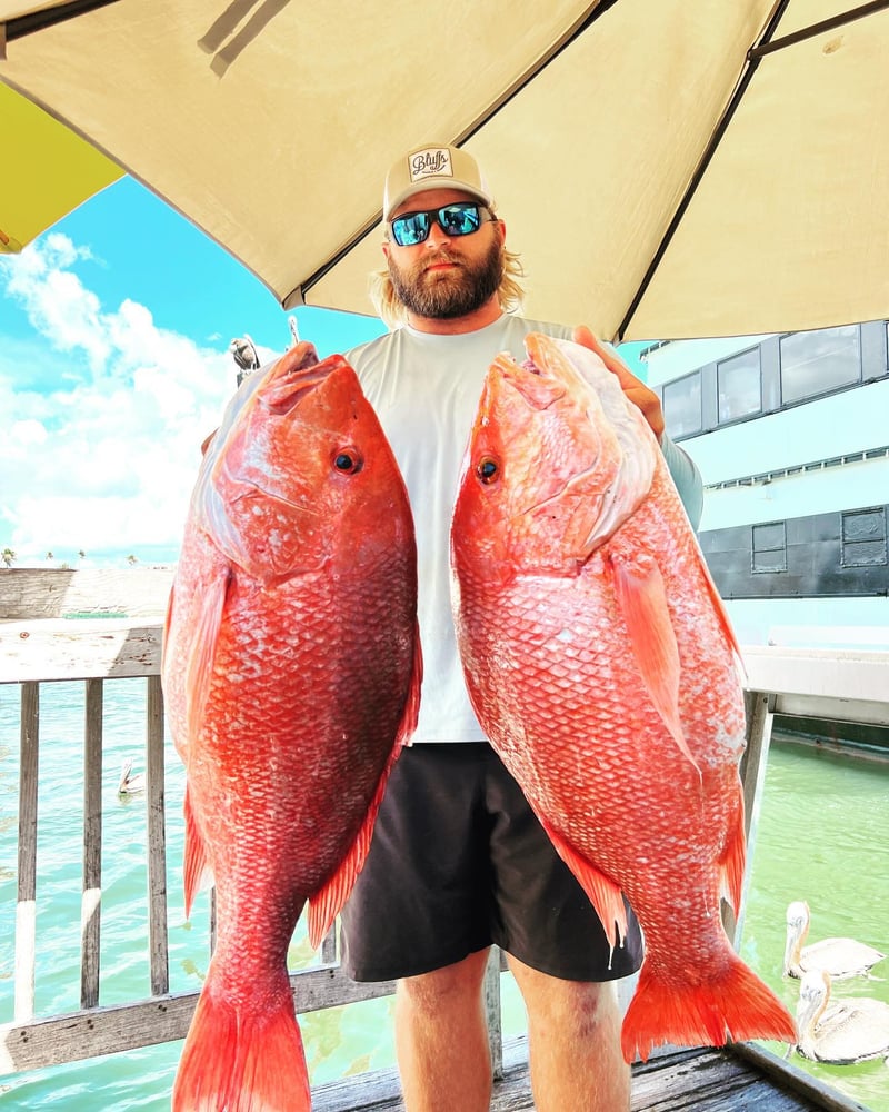 Clearwater Red Snapper Fishing In Clearwater