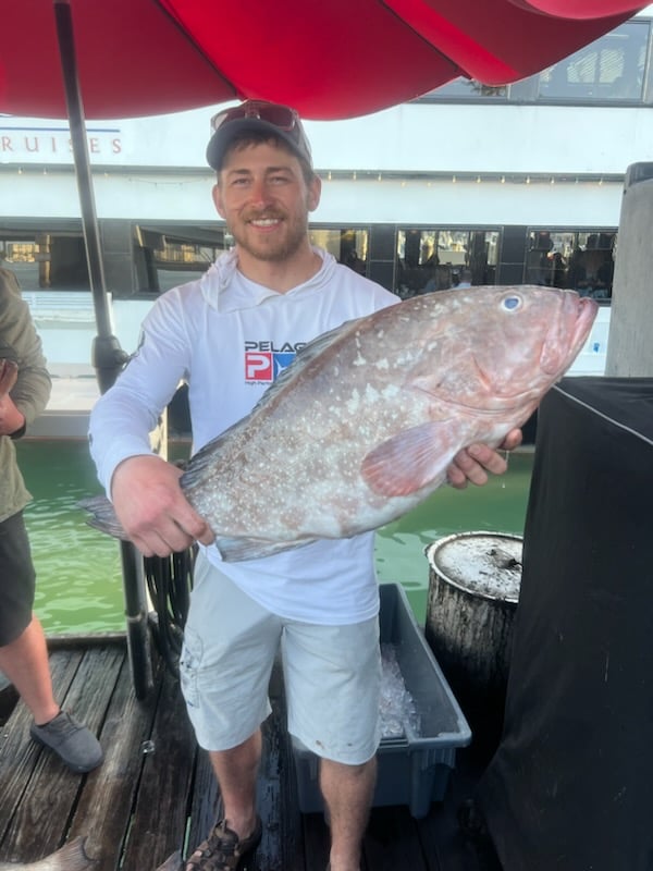 Clearwater Red Snapper Fishing In Clearwater