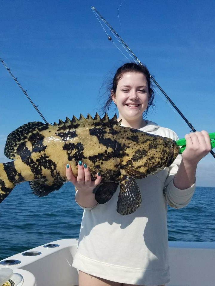 Clearwater Offshore Reefs & Wrecks In Clearwater