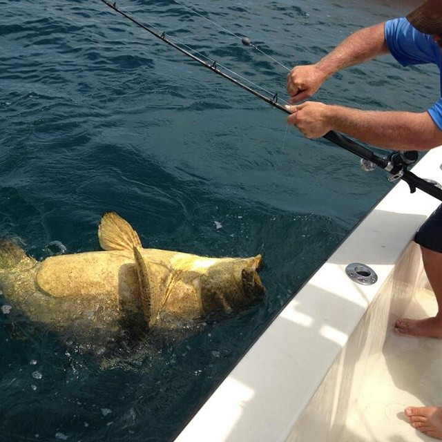 Clearwater Offshore Reefs & Wrecks In Clearwater