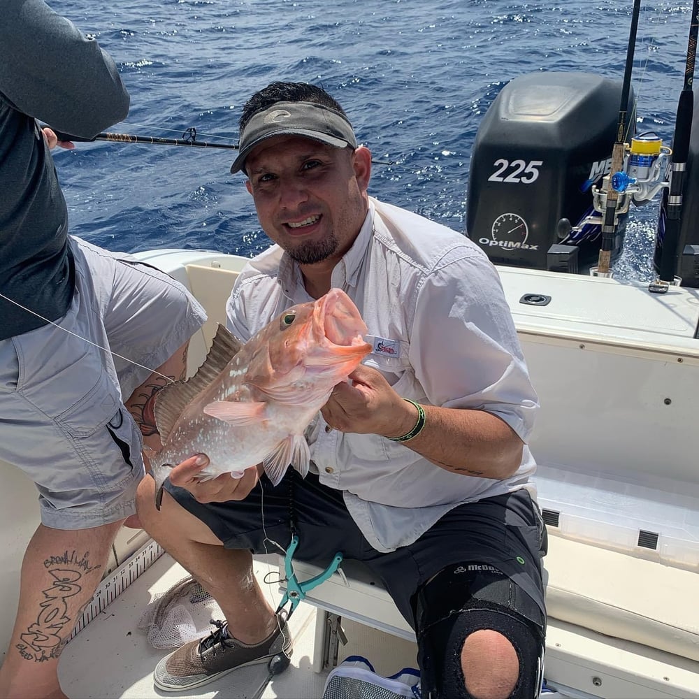 Full Day Offshore In Naples