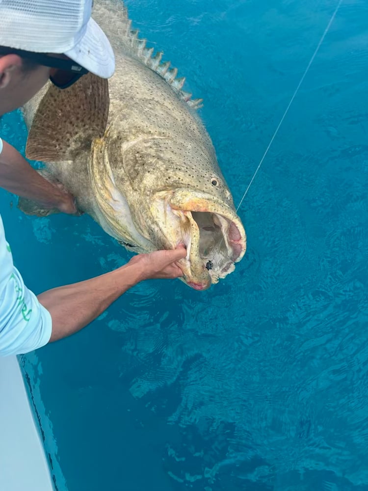 Full Day Offshore In Naples