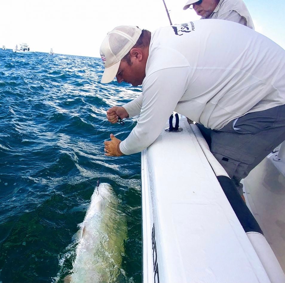 Tampa Tarpon Fishing In Tampa