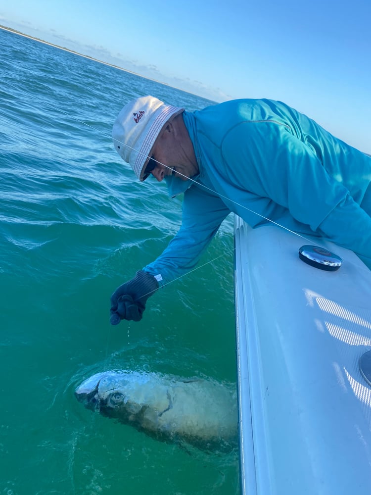 Tampa Tarpon Fishing In Tampa