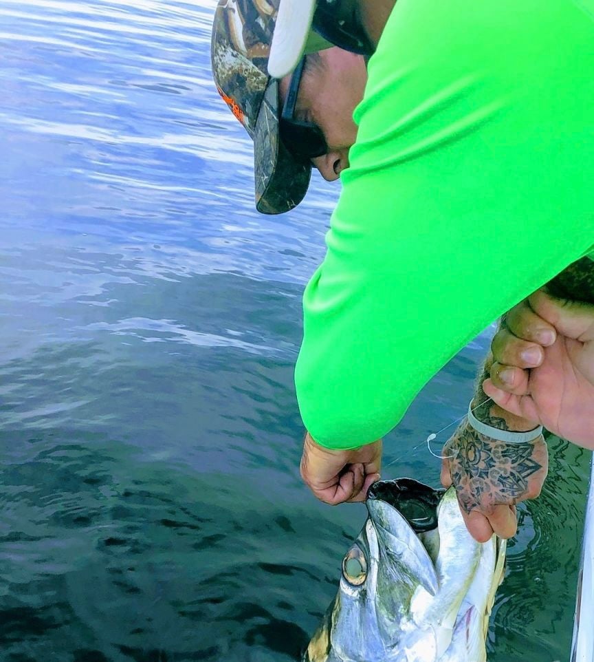 Tampa Tarpon Fishing In Tampa