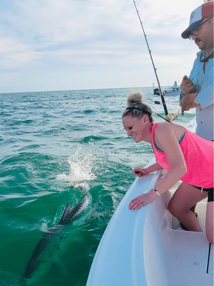 Tampa Tarpon Fishing In Tampa