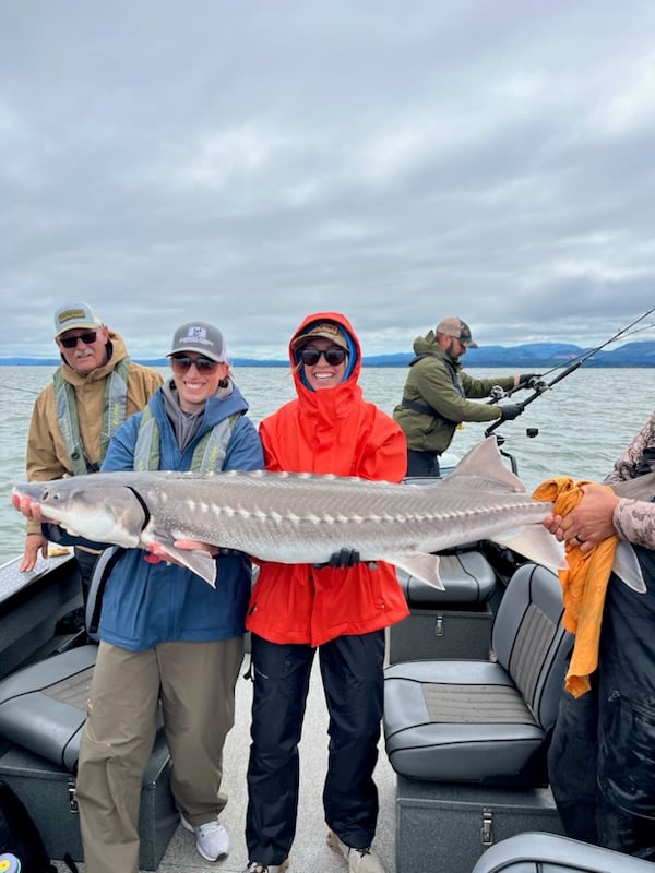 Sturgeon Catch And Release Trip In Portland