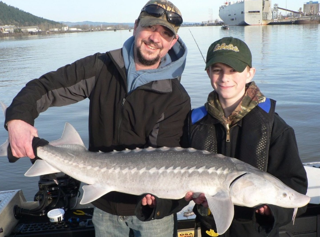 Sturgeon Catch And Release Trip In Portland