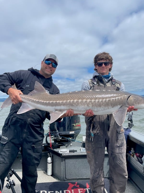 Sturgeon Catch And Release Trip In Portland