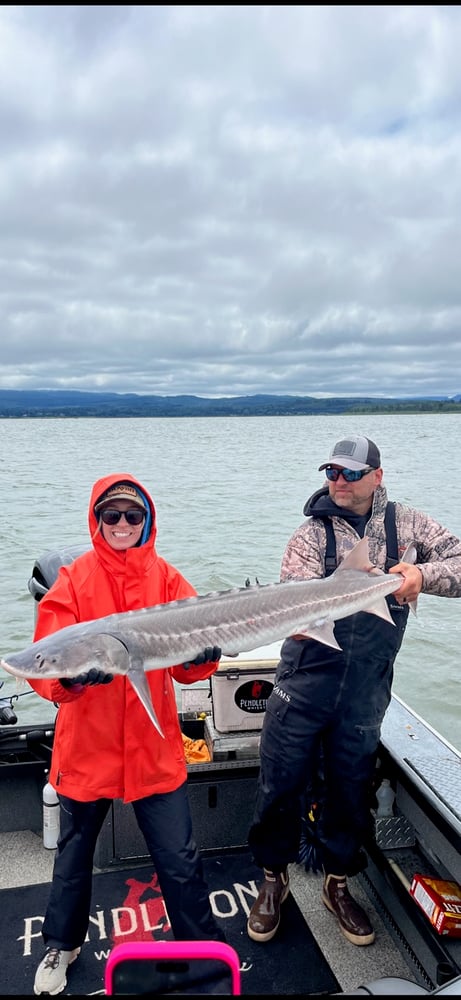 Sturgeon Catch And Release Trip In Portland