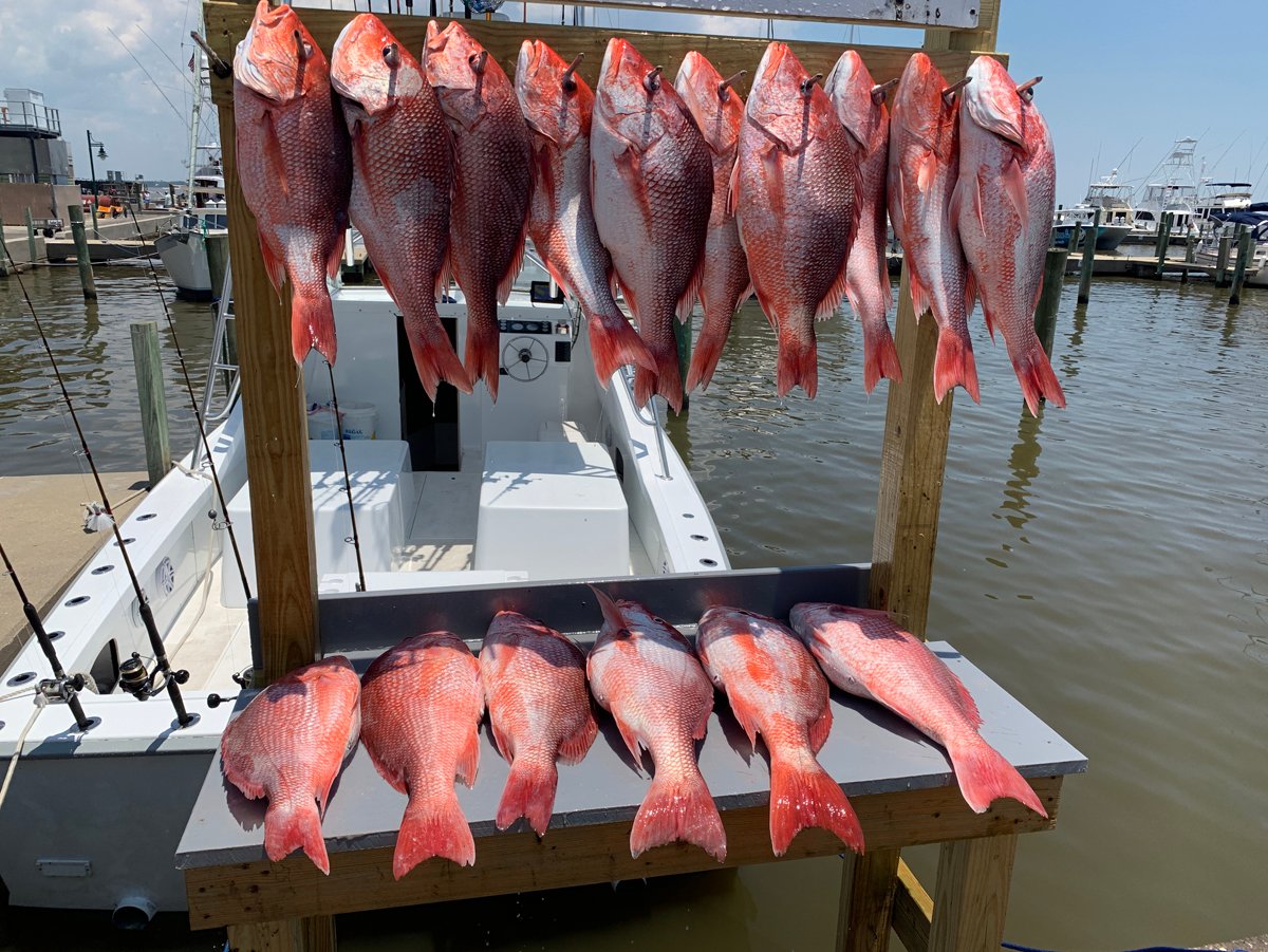 Red Snapper Fishing Trip In Biloxi