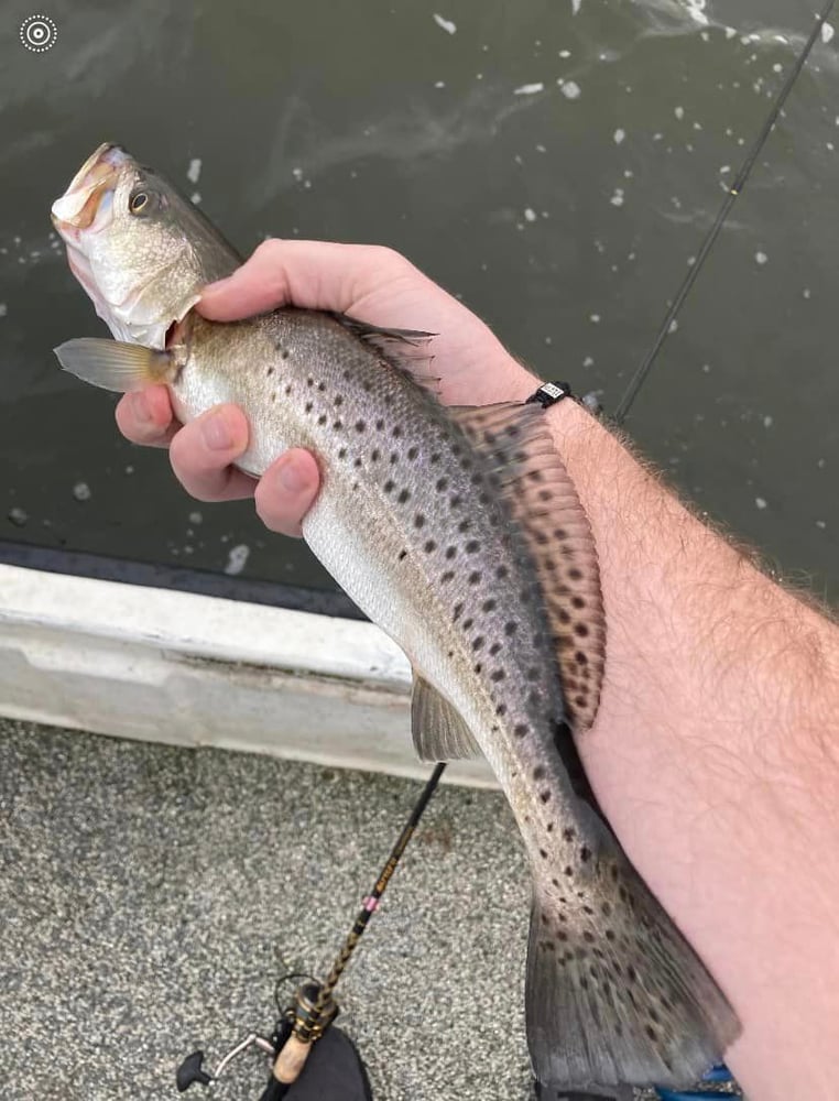 Louisiana Slam With Capt Mack In New Orleans