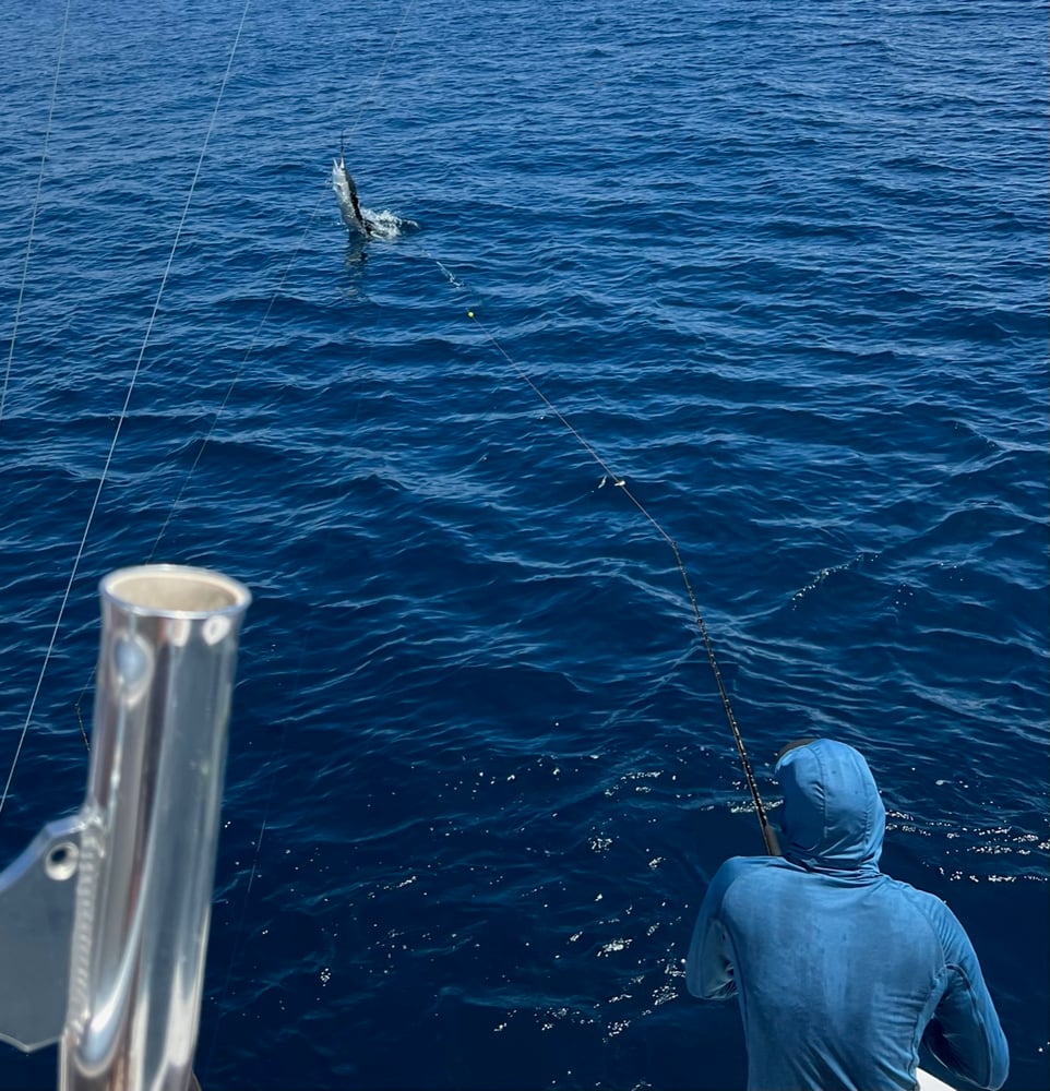 Deep Offshore Run In Stuart