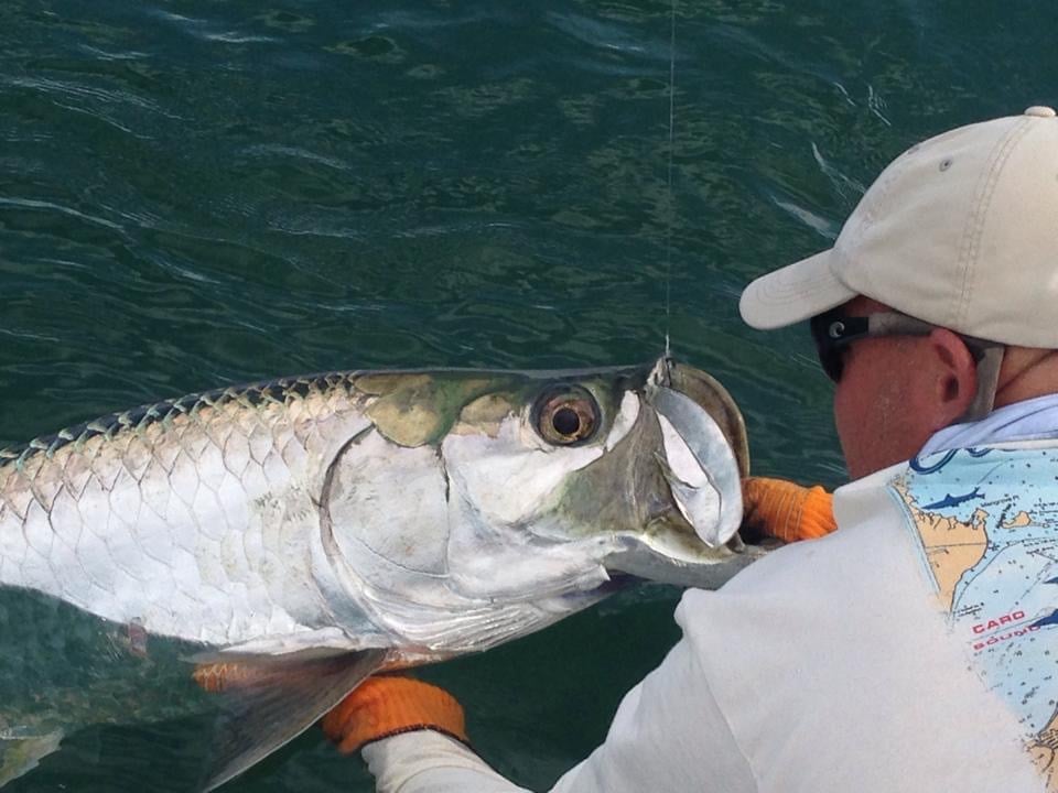 Islamorada Inshore Fishing Fun! In Islamorada