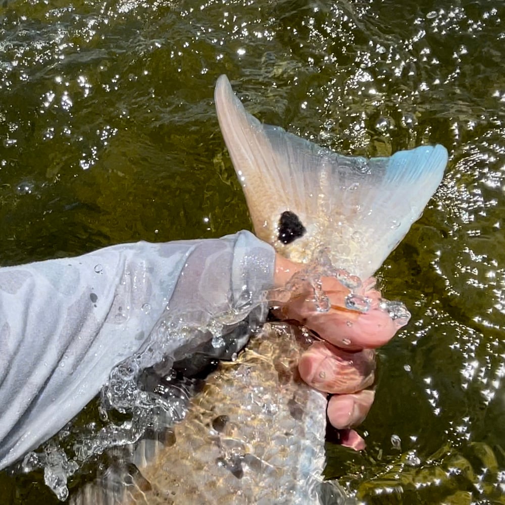 Islamorada Inshore Fishing Fun! In Islamorada