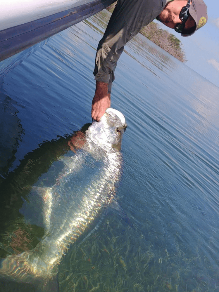 Targeting Tarpon In Key West In Key West