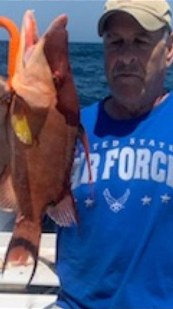 Hogfish Trip - 48’ Sportfish Yacht In Tierra Verde