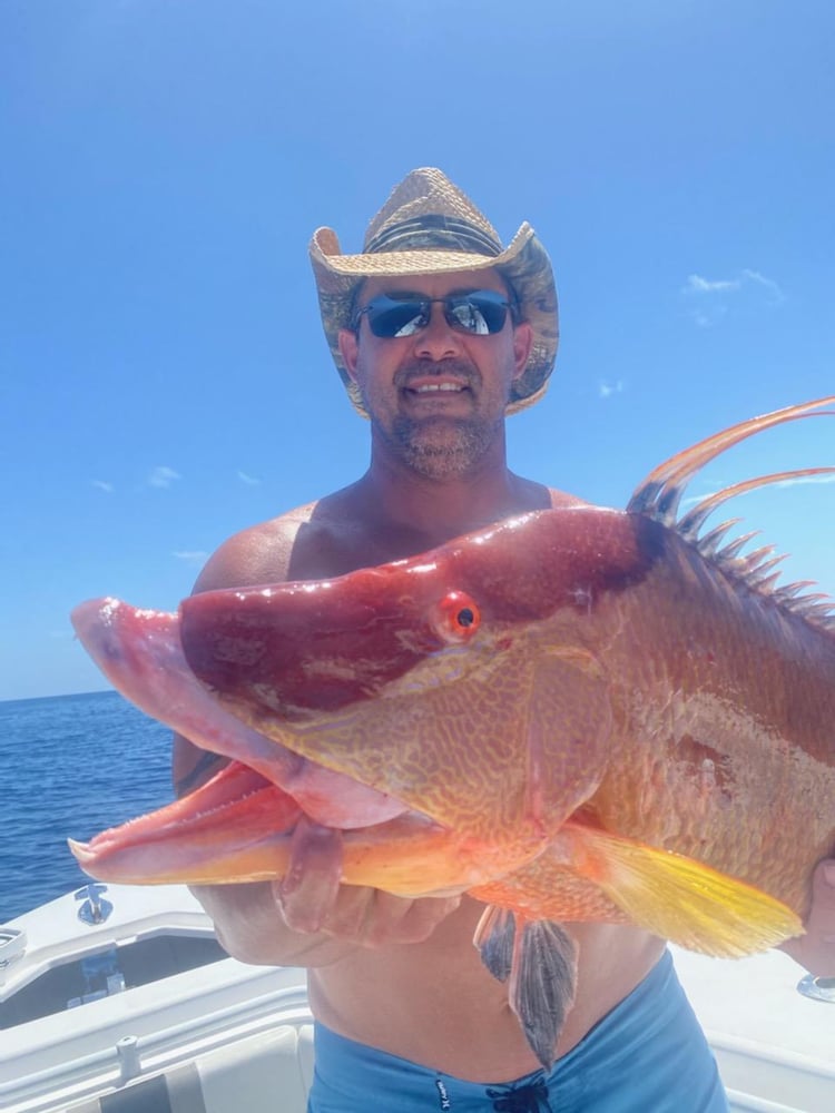 Hogfish Trip - 48’ Sportfish Yacht In Tierra Verde