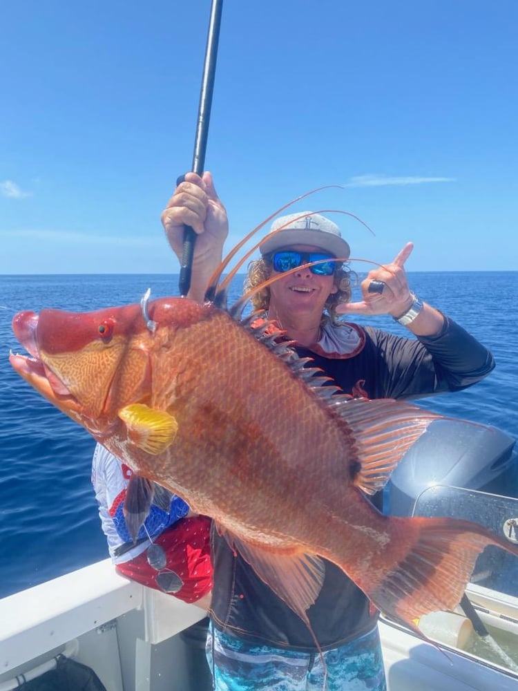 Hogfish Trip - 28' In Tierra Verde