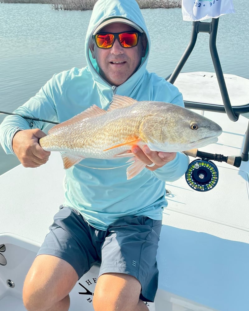 Redfish On The Fly In Port Aransas