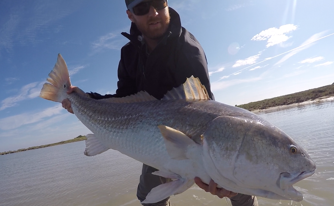 Redfish On The Fly In Port Aransas