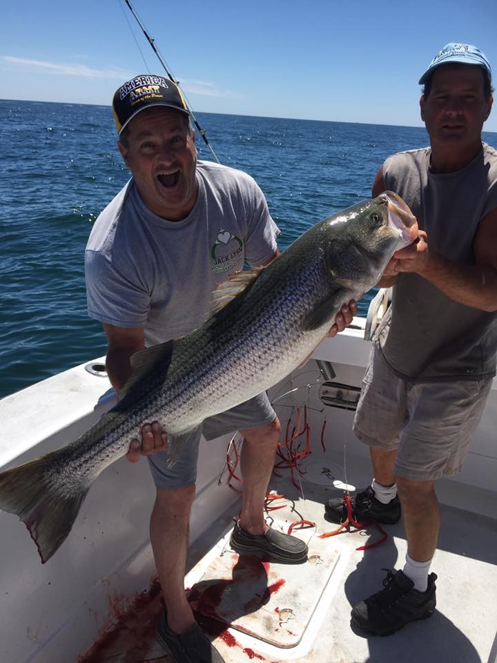 Montauk Inshore Chase In Montauk