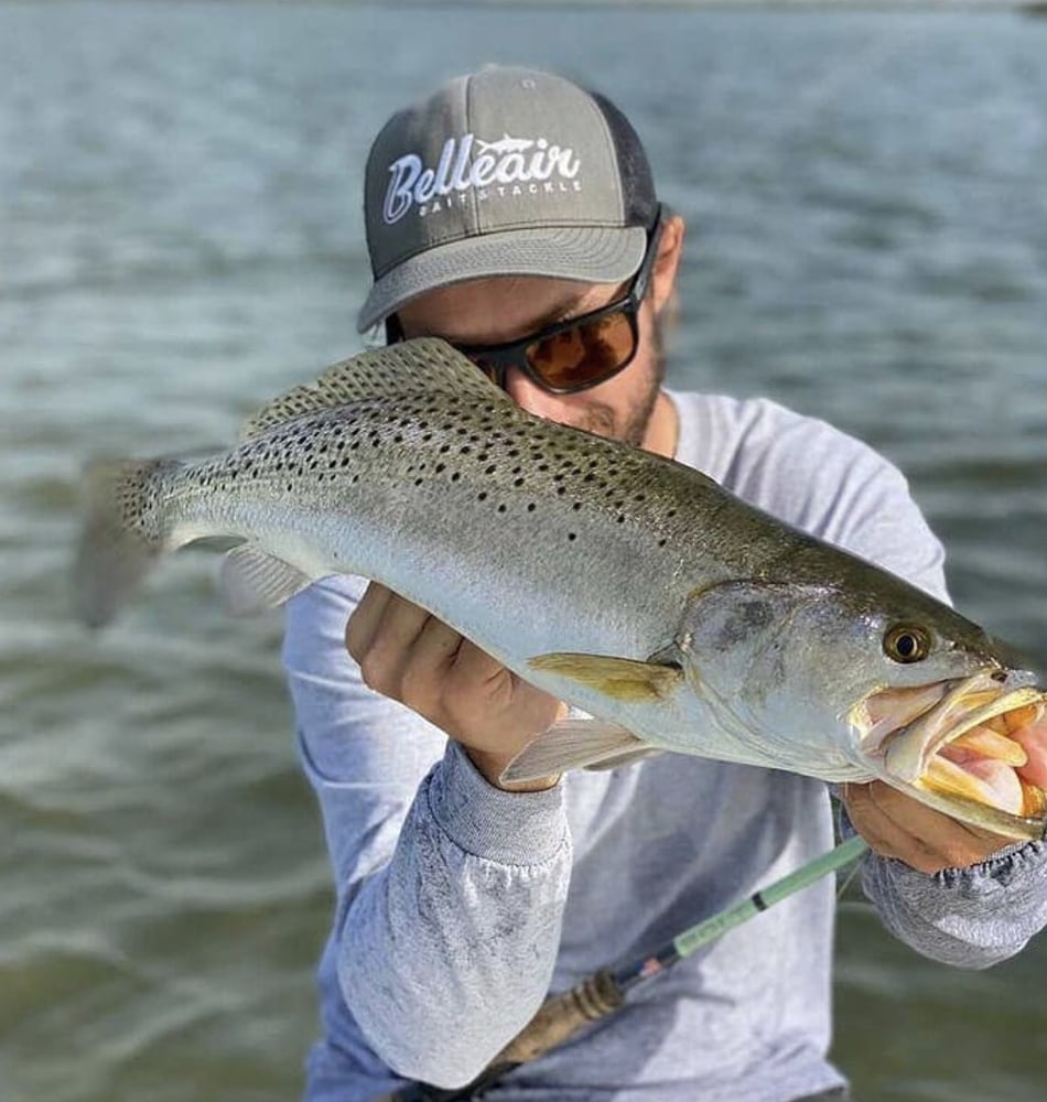 Sunny Fishing On Tampa Bay In Belleair Bluffs