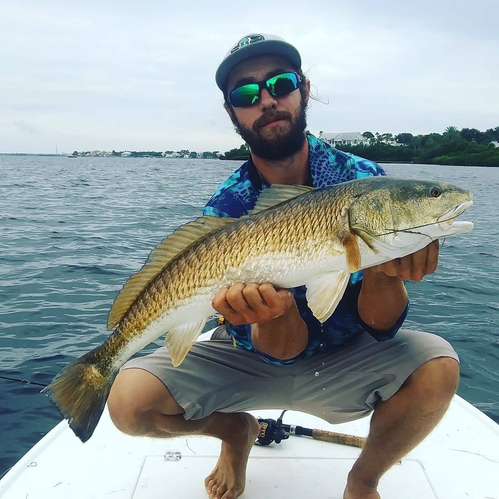 Sunny Fishing On Tampa Bay In Belleair Bluffs