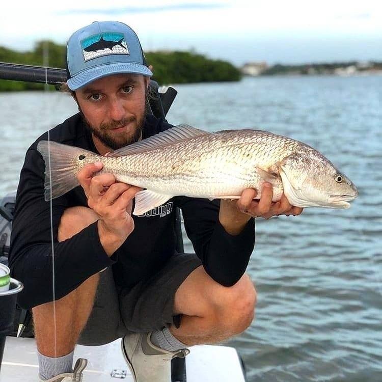 Sunny Fishing On Tampa Bay In Belleair Bluffs