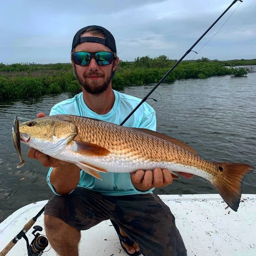 Sunny Fishing On Tampa Bay In Belleair Bluffs