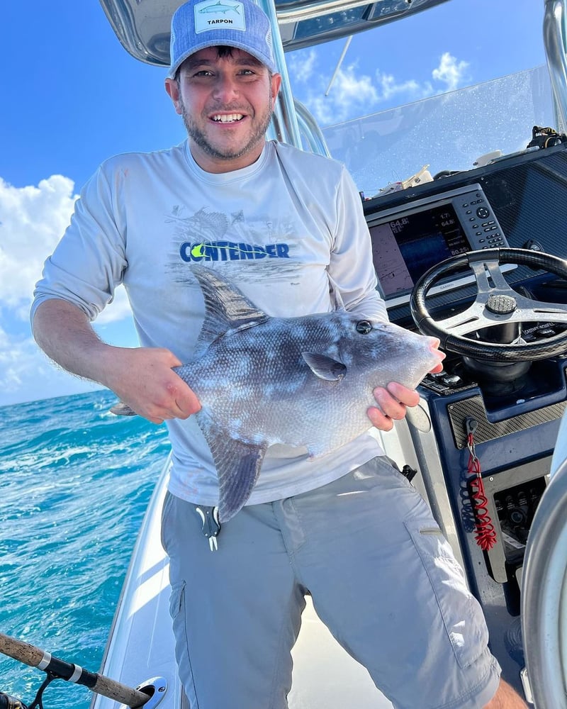 Reef And Wreck Fishing In Miami