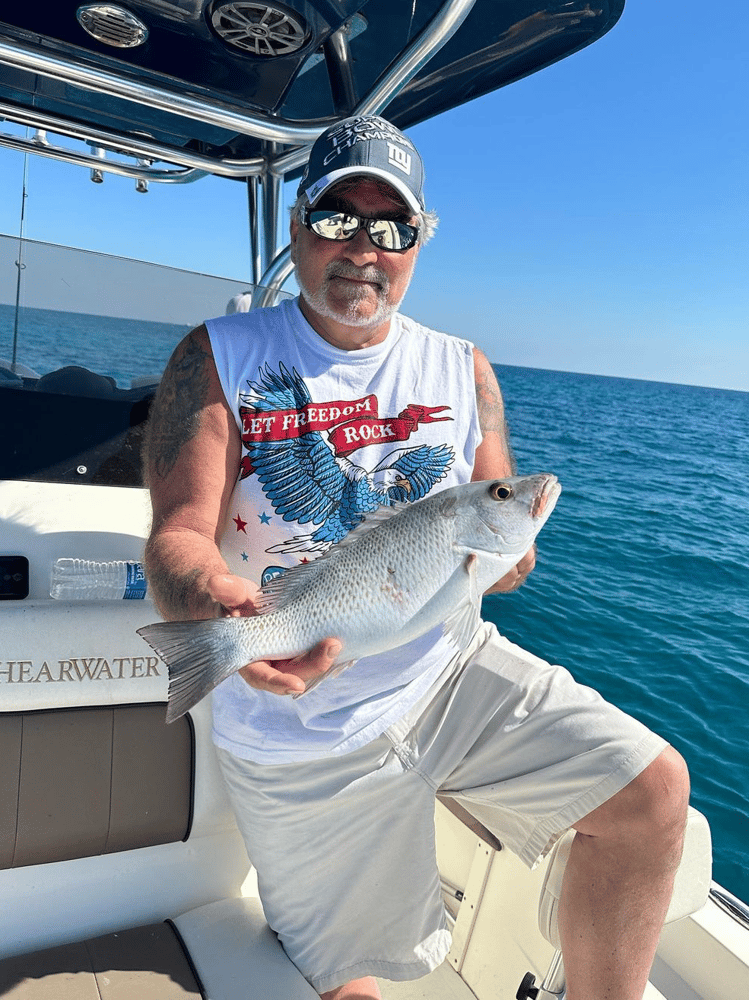 Reef And Wreck Fishing In Miami