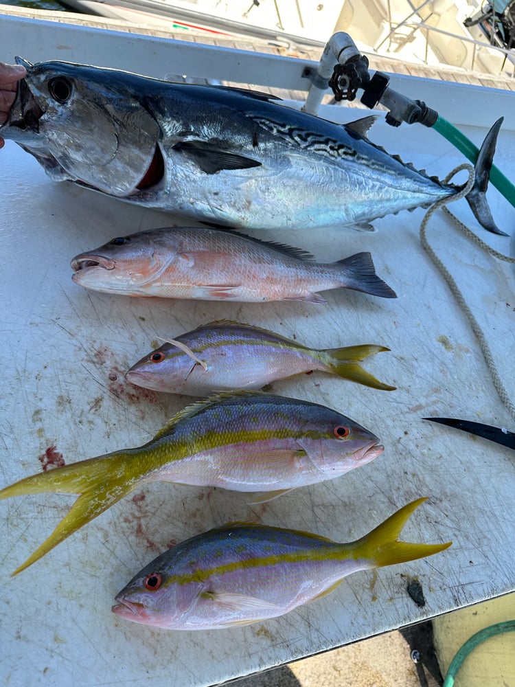 Reef And Wreck Fishing In Miami