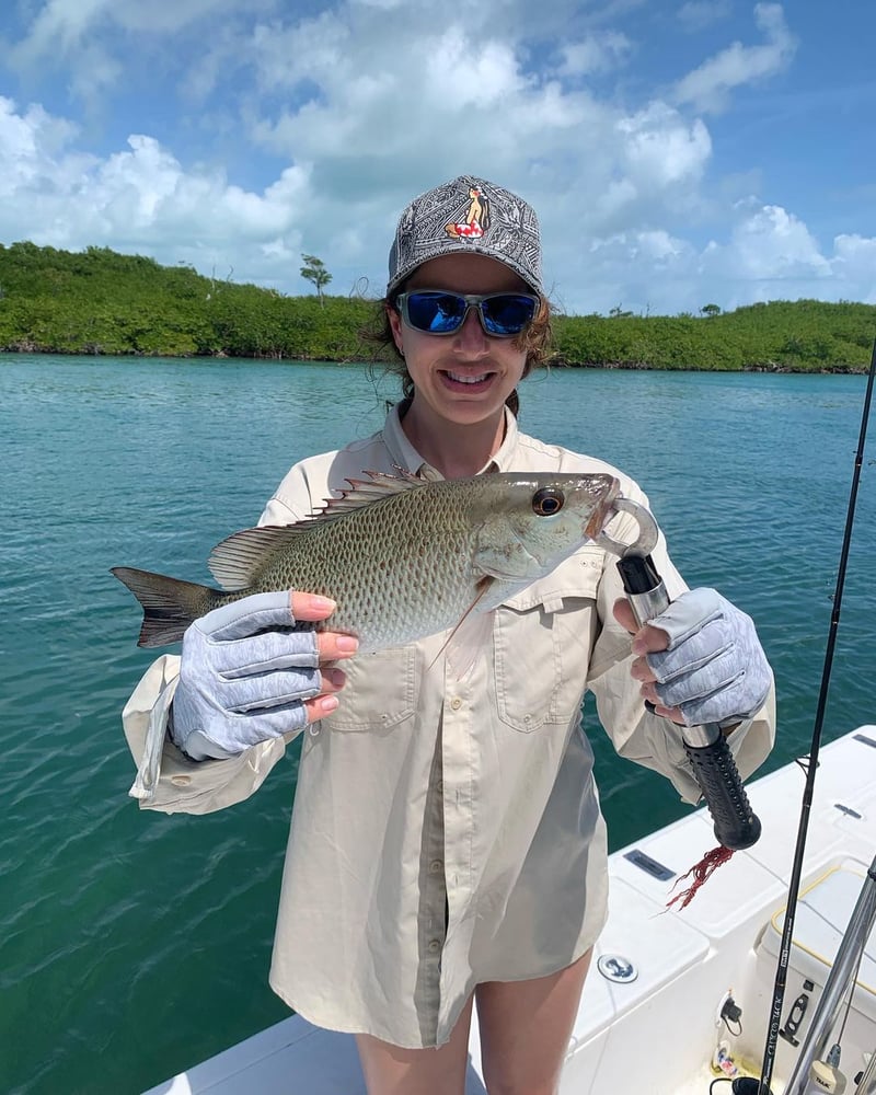 Reef And Wreck Fishing In Miami