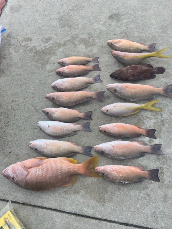 Reef And Wreck Fishing In Miami