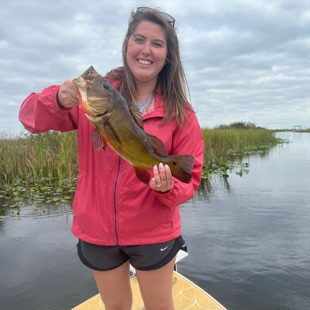 Peacock Bass + Iguana Cast & Blast In Miami