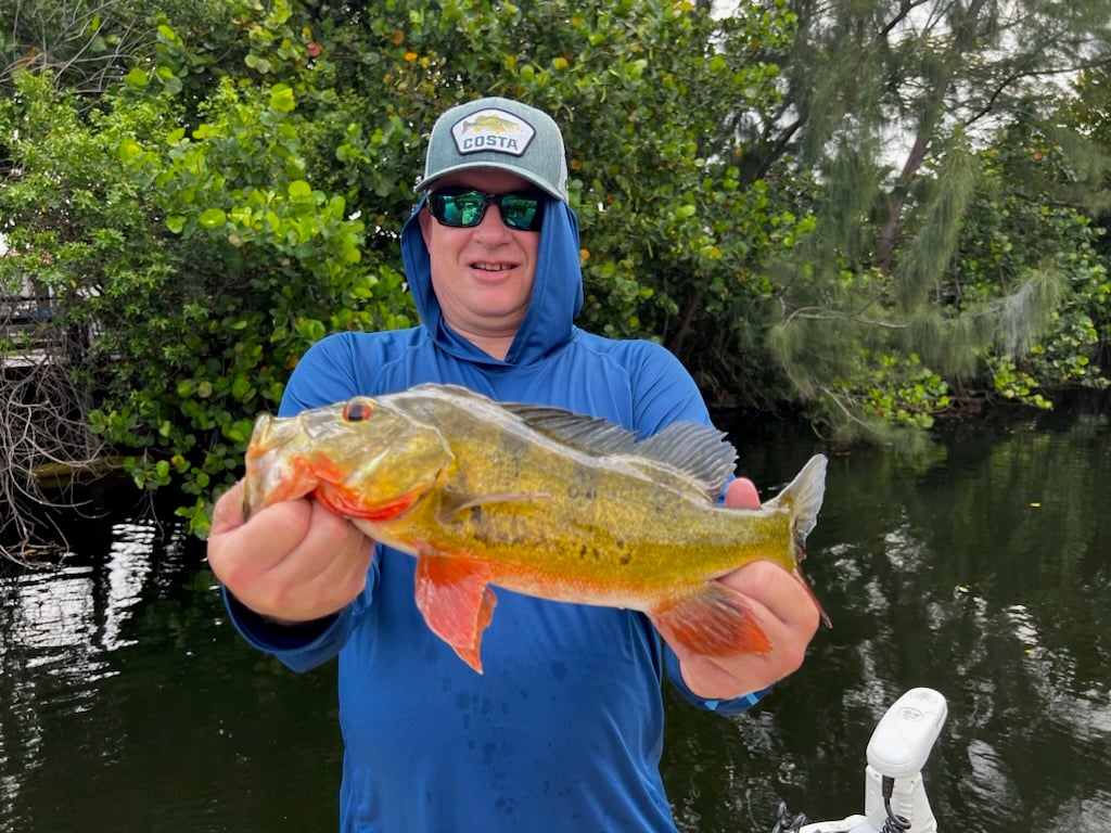 Freshwater Peacock Bass & More In Miami