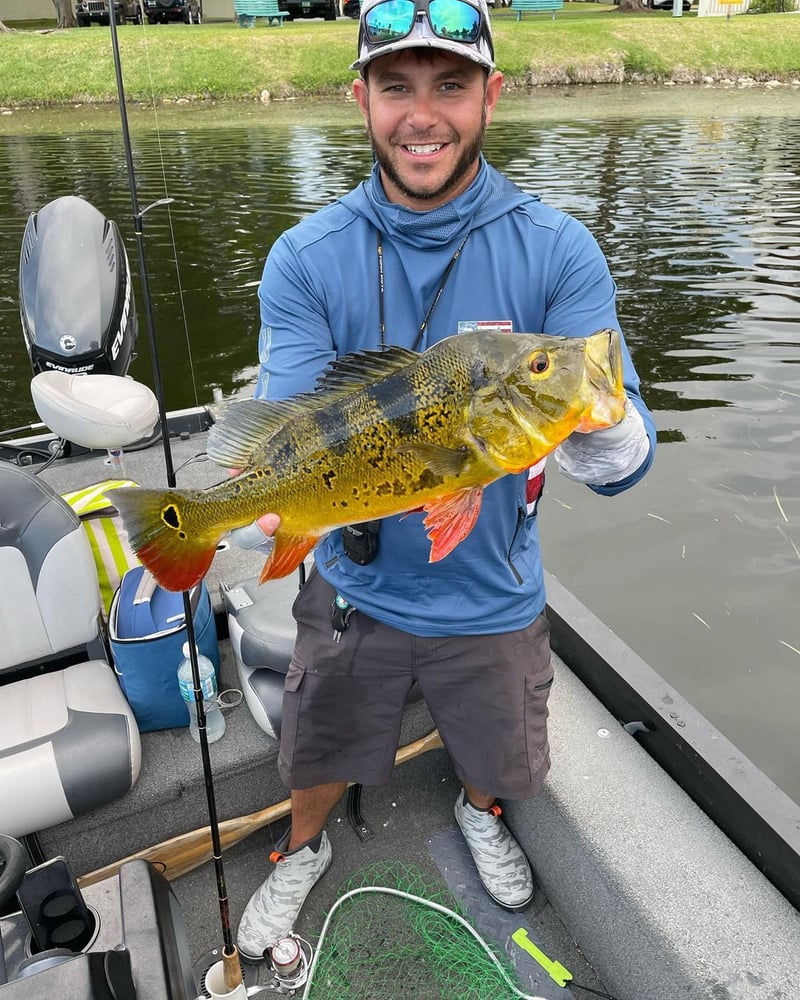 Peacock Bass + Iguana Cast & Blast In Miami