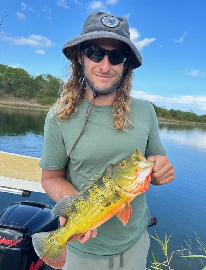 Freshwater Peacock Bass & More In Miami