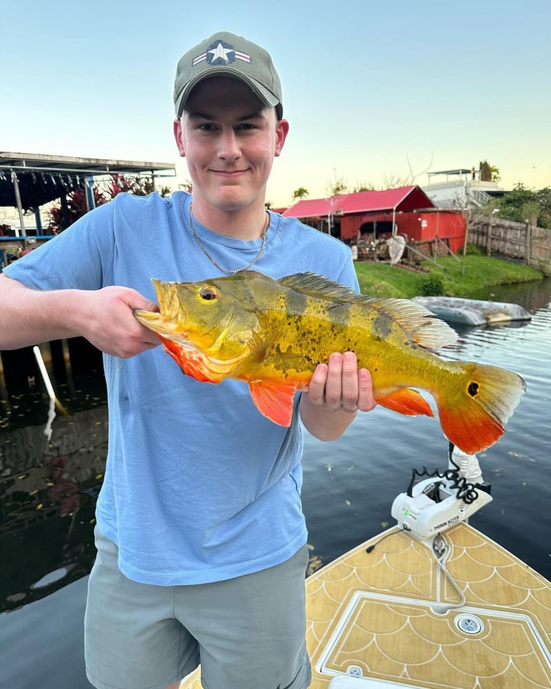 Peacock Bass + Iguana Cast & Blast In Miami