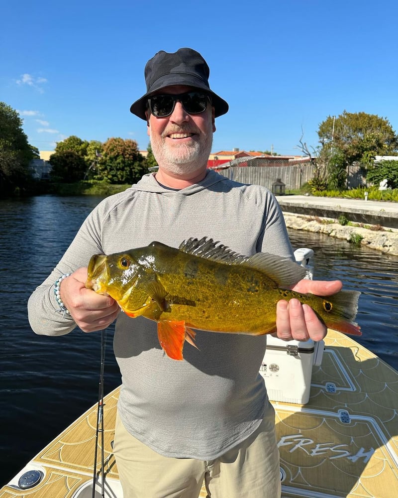 Peacock Bass + Iguana Cast & Blast In Miami