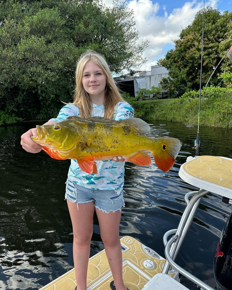 Peacock Bass + Iguana Cast & Blast In Miami