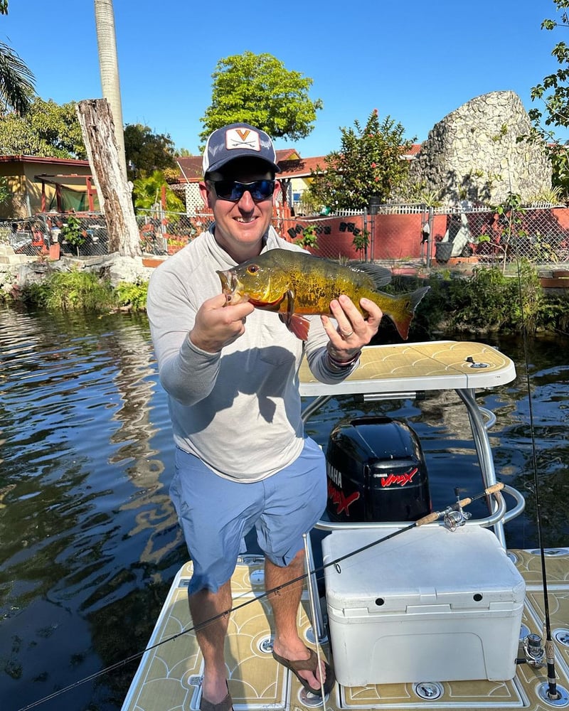 Peacock Bass + Iguana Cast & Blast In Miami