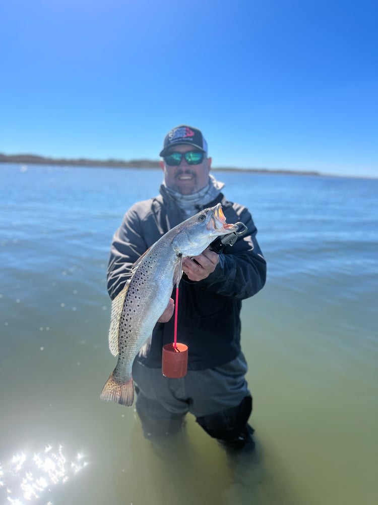 Port Mansfield Run In Corpus Christi