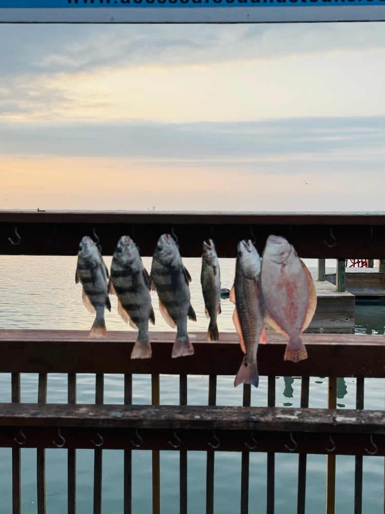 Port Mansfield Run In Corpus Christi