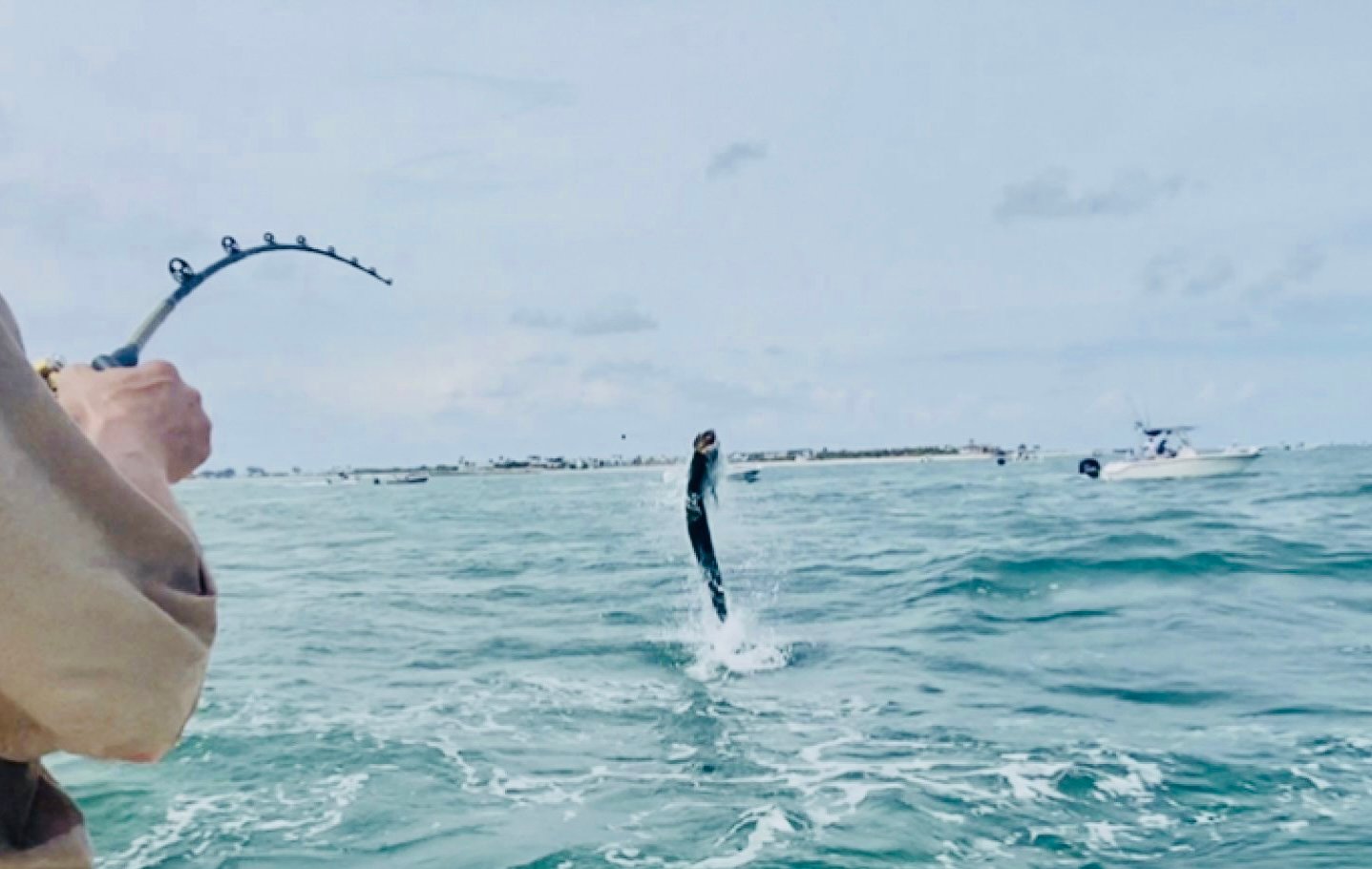 Boca Trophy Tarpon - 95% Success In Boca Grande