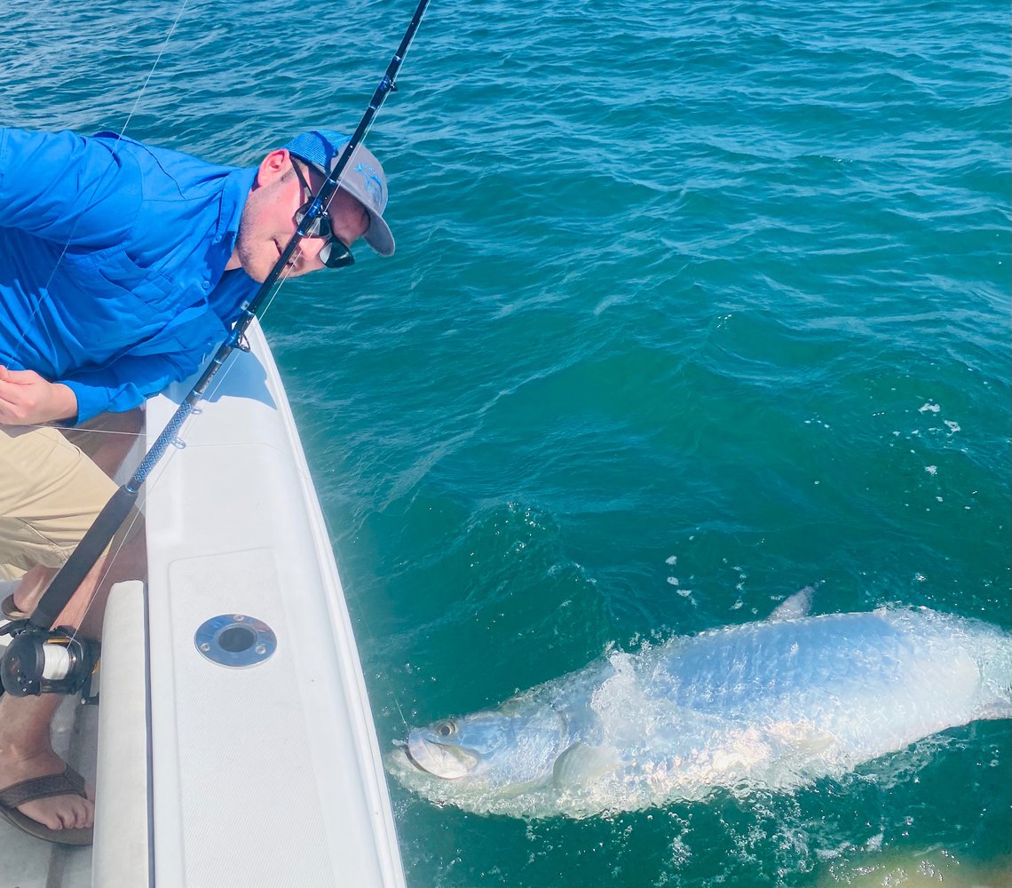 Boca Trophy Tarpon - 95% Success In Boca Grande