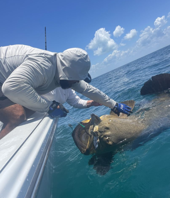 Nearshore Live Action In Bokeelia