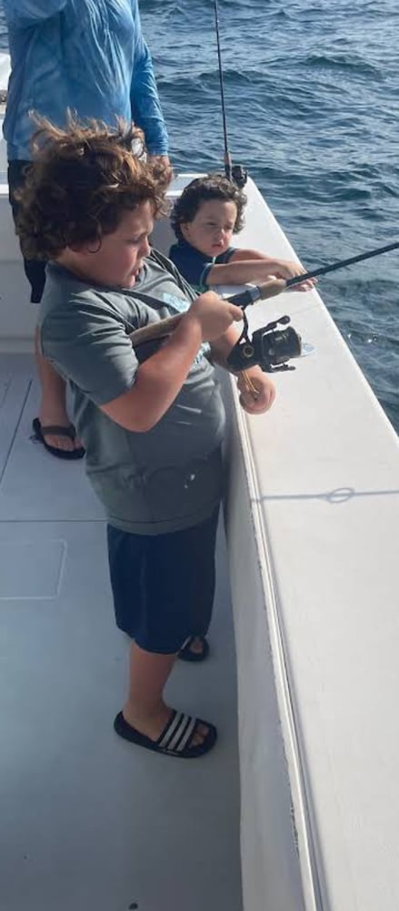 40’ Yacht Sport Fish Shark Hunt In Clearwater